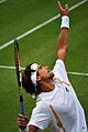 Flickr - Carine06 - David Ferrer serve
