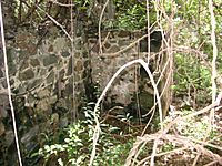Fort Purcell, Tortola (2)