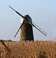 Heigham Holmes Mill
