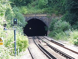 Higham to Strood rail tunnel - geograph.org.uk - 1399443