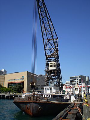 Hikitia crane ship.JPG