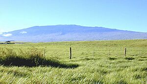 Hualalai from north