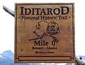 Iditarod Trail Seward 500