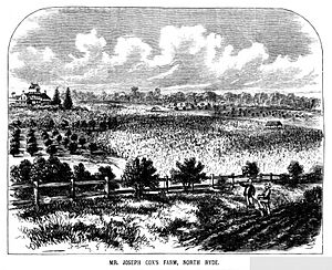 Joseph Cox's Farm North Ryde, c1882