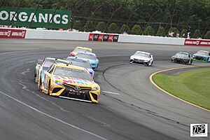 Kyle busch (51277142156)