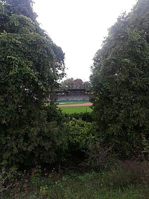 Labatt Memorial Park 2012-09-20 18-47-16