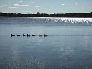 Lake Calhoun-Minneapolis-2006-10-14-