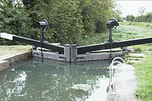 Lock on the Pocklington Canal - geograph.org.uk - 5396