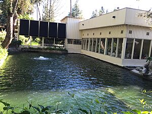 Lodge exterior