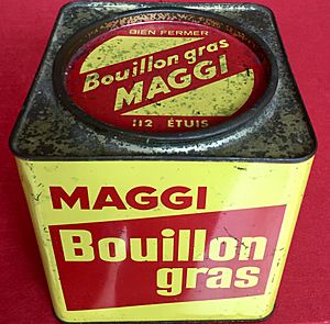Maggi Bouillon gras boîte fer de 112 étuis - Maggi France -