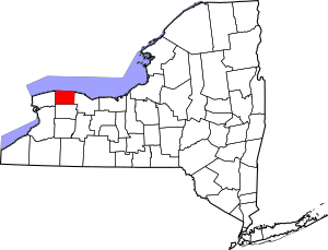 Map of New York highlighting Orleans County