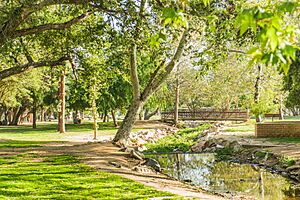 Mark Skovorodko Photography - Kit Carson Park Escondido