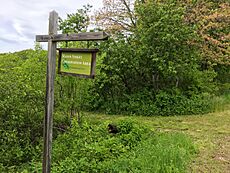 Mason Street Conservation Area, Rehoboth Masschusetts