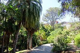 Mildred E. Mathias Botanical Garden - University of California, Los Angeles - DSC02961