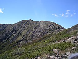 Mount-buller-summit-ridge.jpg