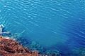 Mount Gambier Blue Lake closeup
