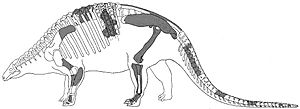 Nodosaurus textilis