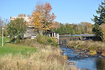 Old Dam and Power Station Queensborough Black River.jpg