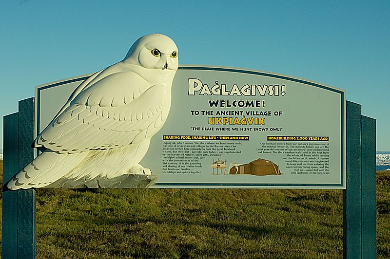 Paglagivsi ukpiegvik