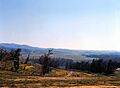 Peters Canyon, March 1966