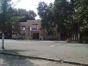 Poiana Mare City Hall