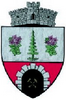 Coat of arms of Șaru Dornei