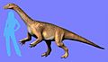 Riojasaurus NT