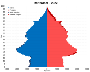 Rotterdam population pyramid