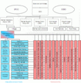 SOCOG org structure 1999