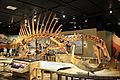 Spinosaurus Skeleton Cast at the National Geographic Museum