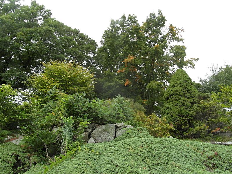 Stonecrop Gardens, Cold Spring