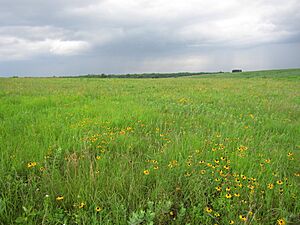 Taberville Prairie Conservation Area