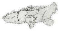 Tatisaurus oehleri.jpg