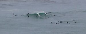 The Main Peak at Swamis; Encinitas, California, USA