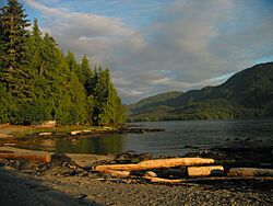 TongassForest1