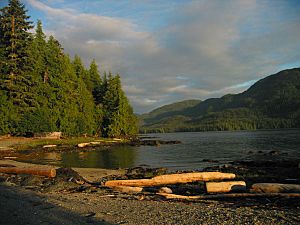 TongassForest1