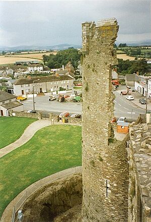 Tower of Ferns Castle