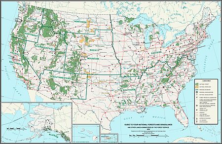 USA National Forests Map