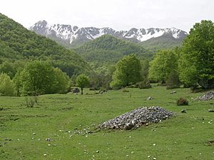ValleFondillo
