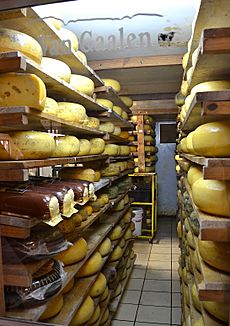 Van Gaalen cheese cellar, South Africa