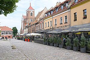 View of the Kaunas Town Hall Square with the Kaunas Cathedral Basilica and restaurants terraces in 2023