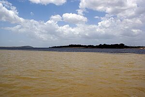 Vista RioCaroni DesdeOrinoco