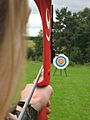 WA target shot with a compound bow (Devizes Bowmen)