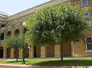 Webb County Courthouse 2007