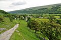 Wharfedale near Buckden (7860)