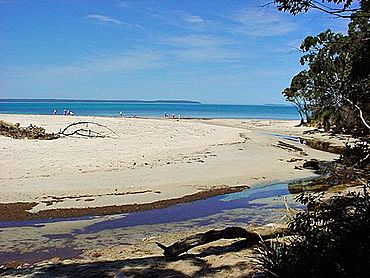 Wowly Creek, Callala Bay, New South Wales.jpg