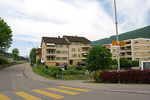 2012-05-26-Seeland (Foto Dietrich Michael Weidmann) 090