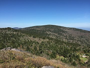 2017-05-16 09 51 01 View west-northwest toward Mount Rogers from the summit of Pine Mountain within the Mount Rogers National Recreation Area in Grayson County, Virginia.jpg