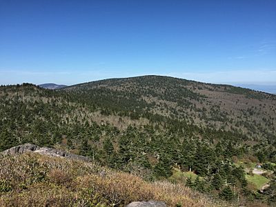 2017-05-16 09 51 01 View west-northwest toward Mount Rogers from the summit of Pine Mountain within the Mount Rogers National Recreation Area in Grayson County, Virginia