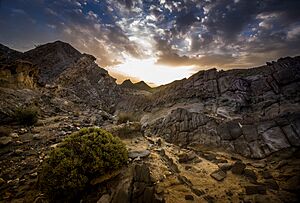 A Sunrise in the Tabernas Desert